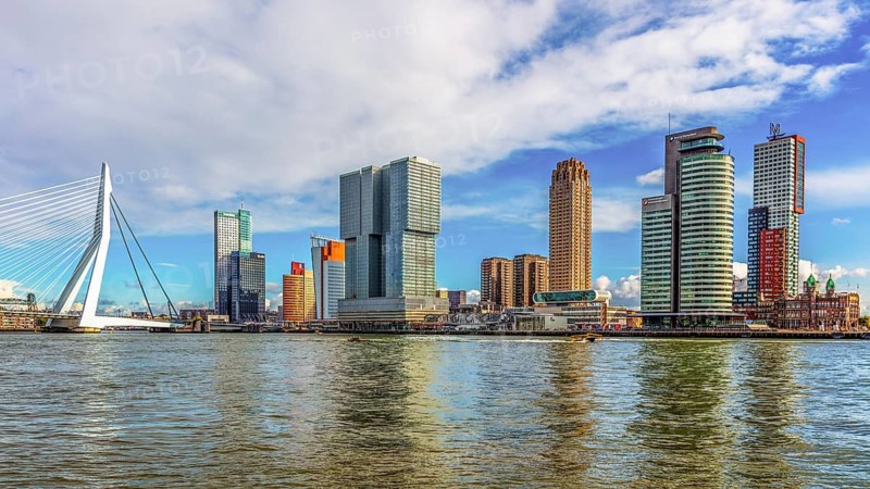 Erasmus Bridge, city panorama, Rotterdam, Netherlands