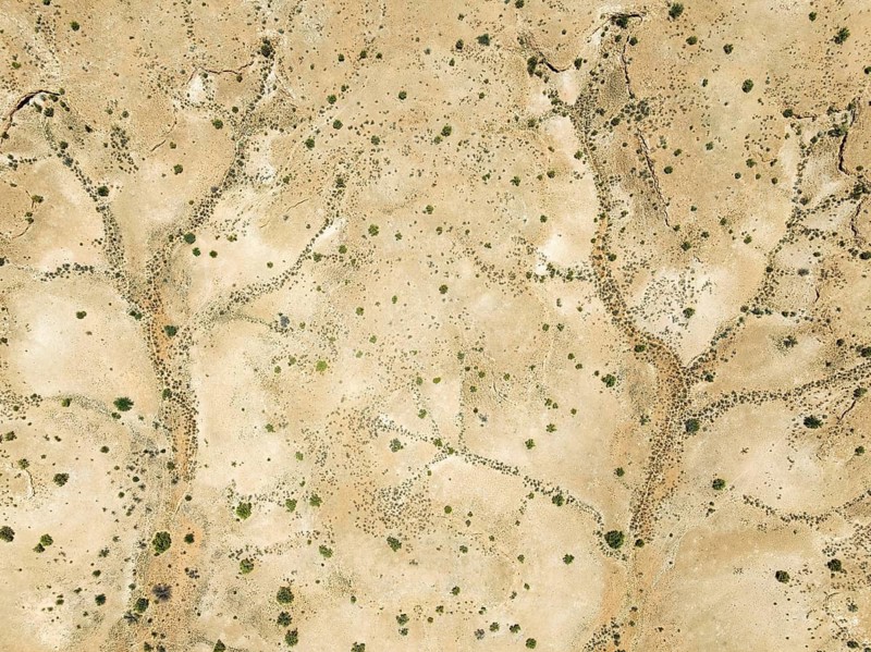 Dry stream courses and desert plants in the Kalahari Desert. Aerial view. Drone shot. Namibia