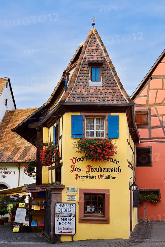 Weingut Joseph Freudenreich, Unterlindenhof, Eguisheim, Haut-Rhin, Alsace, Grand Est, France
