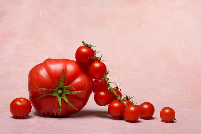 Beef tomato and cherry vine tomatoes with pink background