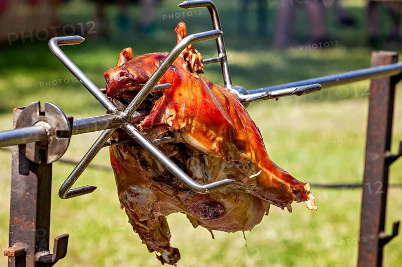 Whole suckling pig on skewer on a grill over charcoal on a summer meadow, suckling pig on spies