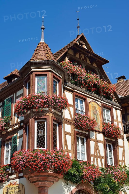 Timbered house with mural and blooming pelargoniums in front of the windows, Kaysersberg Vignoble, Haut-Rhin, Alsace, Grand Est, France