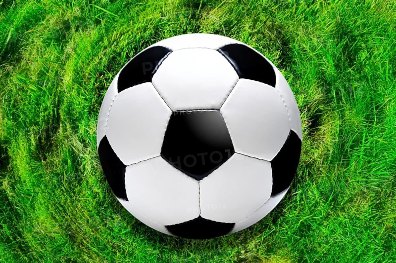 Black and white soccer ball on grass, symbolic photo of the 2026 World Cup, photo montage +++ editorial use only