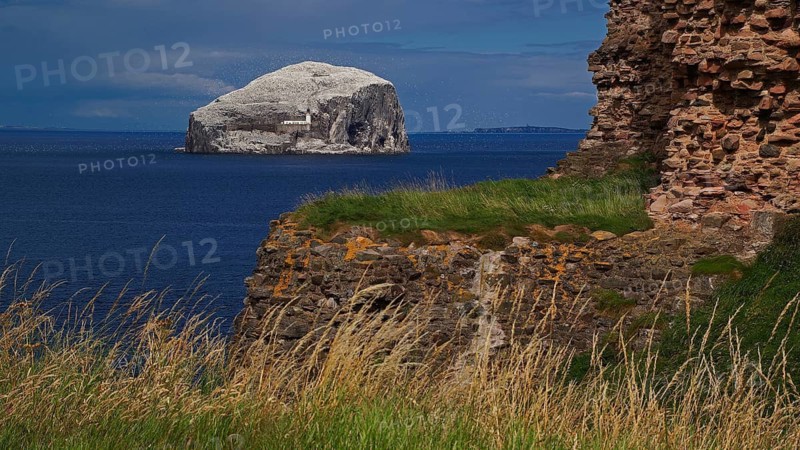 Europe, Scotland, United Kingdom, England, Bass Rock