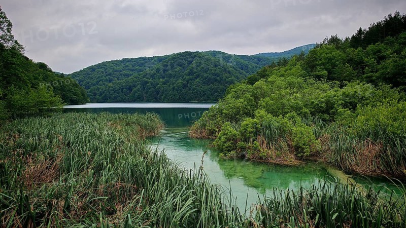A calm lake with reeds surrounded by green mountains under a grey sky, Plitvice Lakes National Park, Croatia