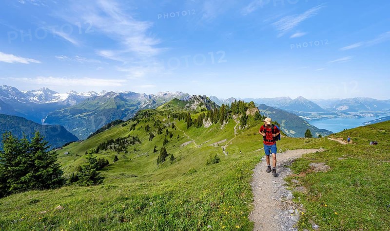 Hikers on a hiking trail on the Schynige Platte, picturesque mountain landscape, Bernese Alps, Bernese Oberland, Switzerland