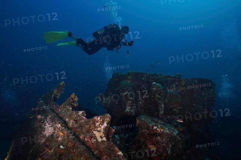 Diver explores colorful shipwrecks on the seabed, Wreck Michel C dive site, Giens Peninsula, Provence Alpes Côte d'Azur, France