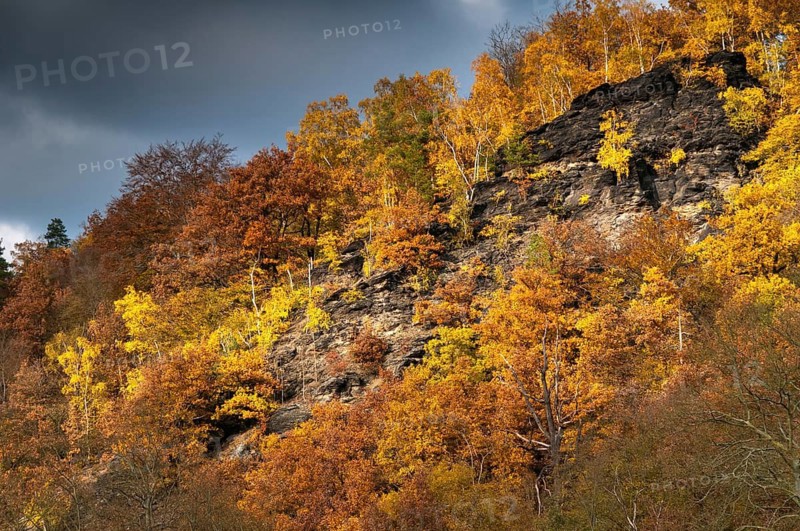 Germany, Greiz, Rothental Alps, Thuringia, Thuringia, Autumn, Elstertal, Cliffs, Autumn, Landscape, Rock, Vogtland