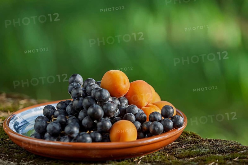 Bowl of grapes and apricots on a wall, Provence, France