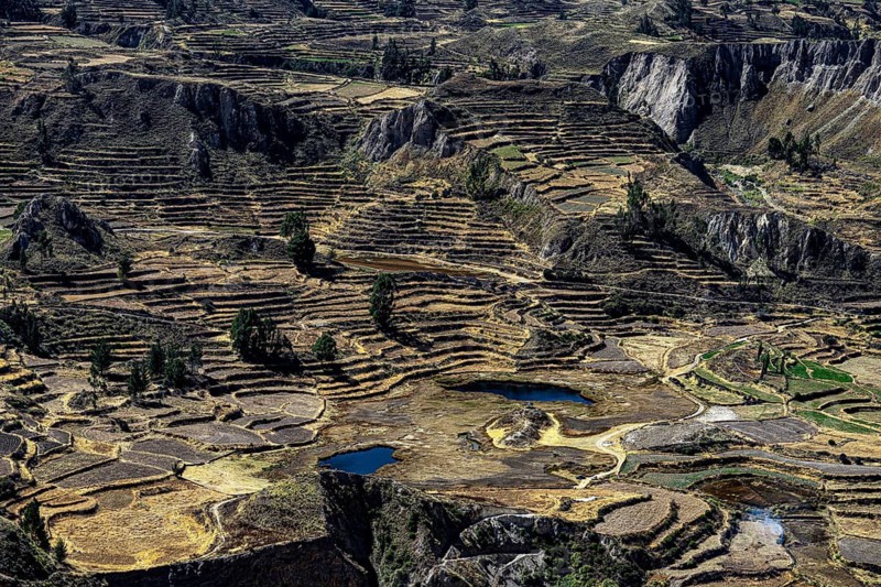 Mountain landscape with terraced fields in Colcacanon, Canon del Colca, Andes, Southern Peru, Peru, South America
