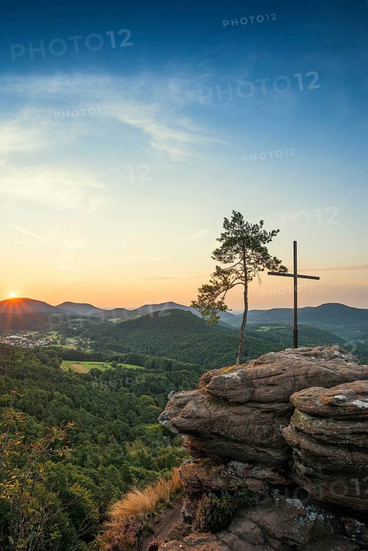 Sandstone rock with pine tree and summit cross, Rötzenfelsen, sunrise, Gossersweiler-Stein, Palatinate Forest, Palatinate Forest, Rhineland-Palatinate, Germany