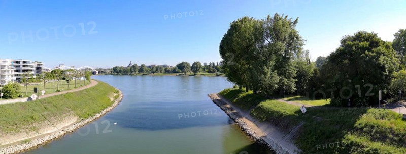 The park island in Ludwigshafen with the Rhine in the background