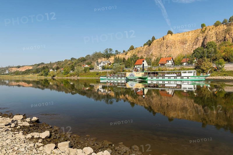 Paddle steamer Krippen on the Elbe downstream from Meißen, in the background the village of Karpfenschänke, Diera-Zehren, Saxony, Germany