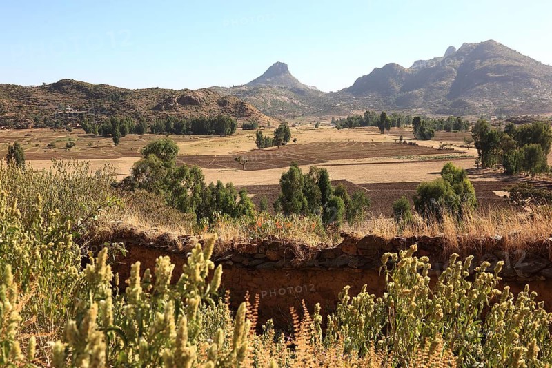 Landscape in the mountains of Adua, Adua Mountains, Ethiopia