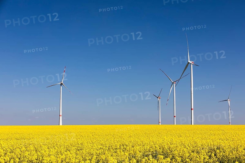 Some wind turbines in a flowering rape field (Brassica napus), near Ganzig, Liebschützberg, Saxony, Germany