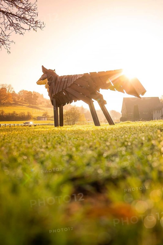 Wooden sculpture of a fox at sunrise in a green landscape, Dachtel, Aidlingen, Heckengäu region, Germany