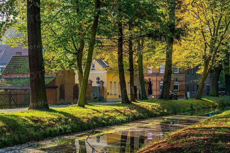 Autumn coloured trees in a park at the river Nieplitz, behind them old brick houses, Treuenbrietzen, Fläming, Brandenburg, Germany