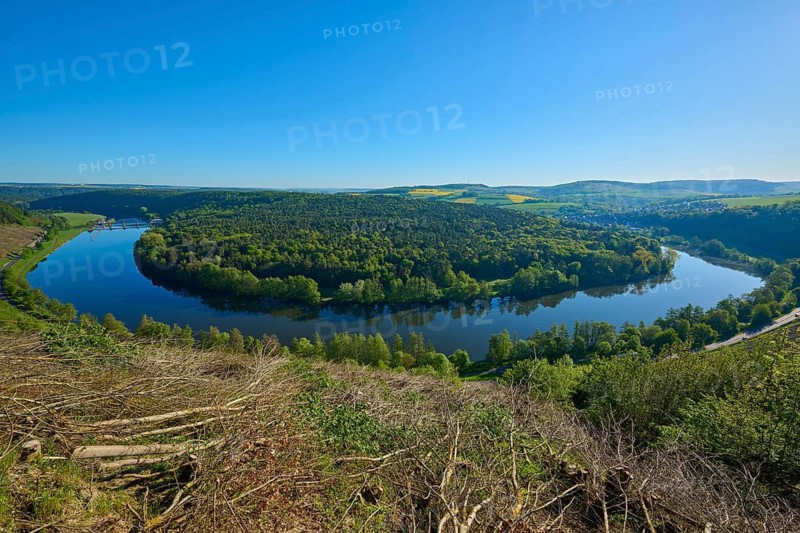 Dense forest stretches along a quiet river, Mainschleife, Urphar, Wertheim, Main Tauber Kreis, Spessart, Lower Franconia, Baden-Württemberg, Germany
