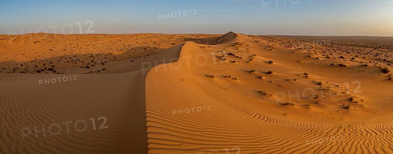 Sand dunes in the Wahiba Sands desert, Oman