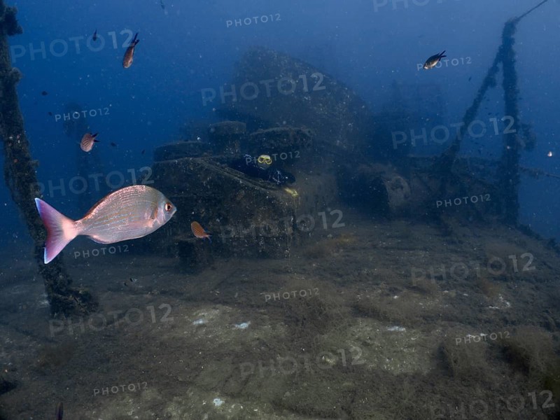 Fish swim over a sand-covered underwater wreck in murky water, dive site wreck of the Vis, Pula, Croatia, Mediterranean