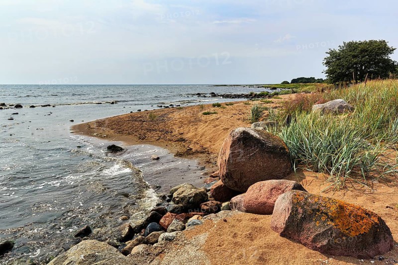 Typical coastline, round granite rocks, sandy soil and characteristic vegetation, South Gotland, Gotland island, Baltic Sea, Sweden