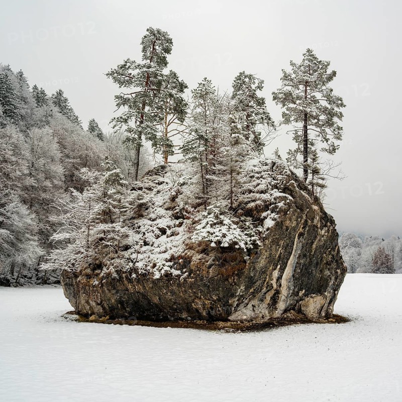 Snow-covered rock with trees in winter landscape, Schusterstein, Schönau am Königssee, Berchtesgadener Land, Upper Bavaria, Bavaria, Germany