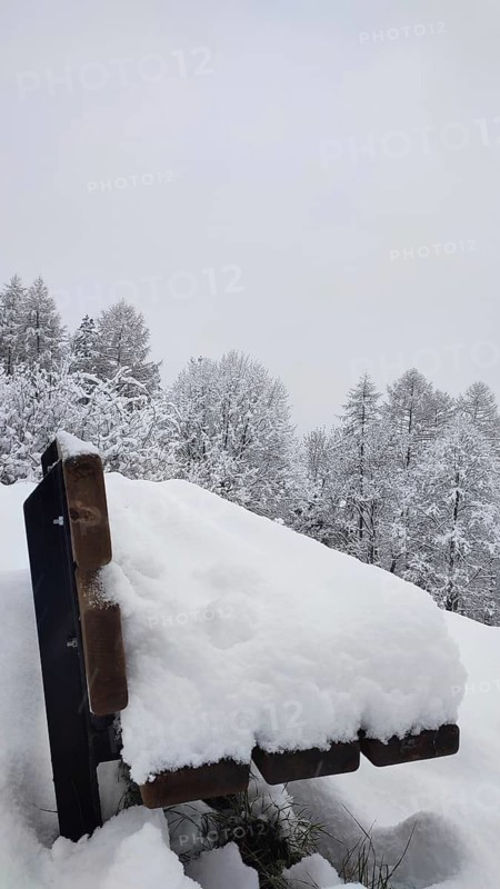 Snowy bench in a quiet forest in winter, Franconian Forest nature park Park