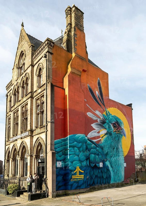 'Liver Bird' street art mural painted by Jon Culshaw, The Wedding House building, Great George Place, Liverpool, UK 2020