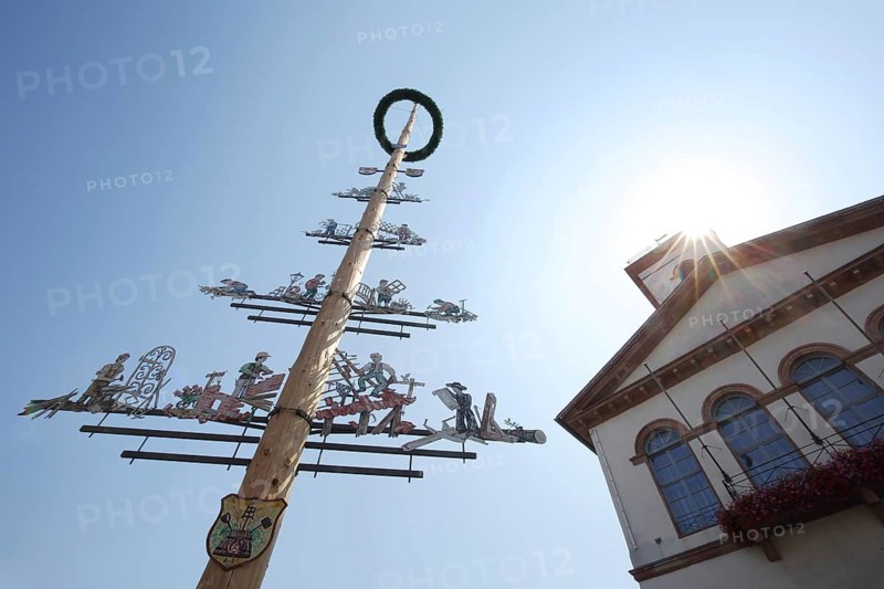 Maypole with guild sign and town hall in backlight, looking up, market square, Seligenstadt, Hesse, Germany