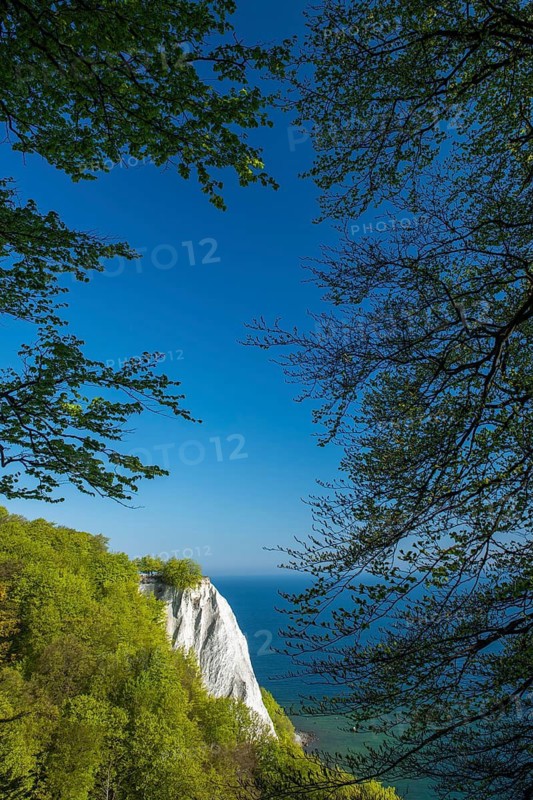 View of chalk cliffs in Jasmund National Park on Rügen, Sassnitz, Rügen, Mecklenburg-Western Pomerania, Germany