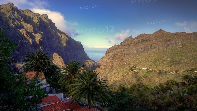 View of a mountain village with palm trees and sea in the distance under a clear sky, Masca, Barranco de Masca, Gorge, Teno Mountains, Northwest Tenerife, Tenerife, Canary Islands, Spain