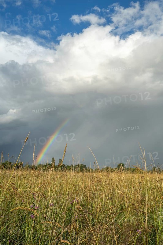 A rainbow appears in the cloudy sky over a field and bears witness to the traces of the recent storm in the countryside. Bas-Rhin, Alsace, France