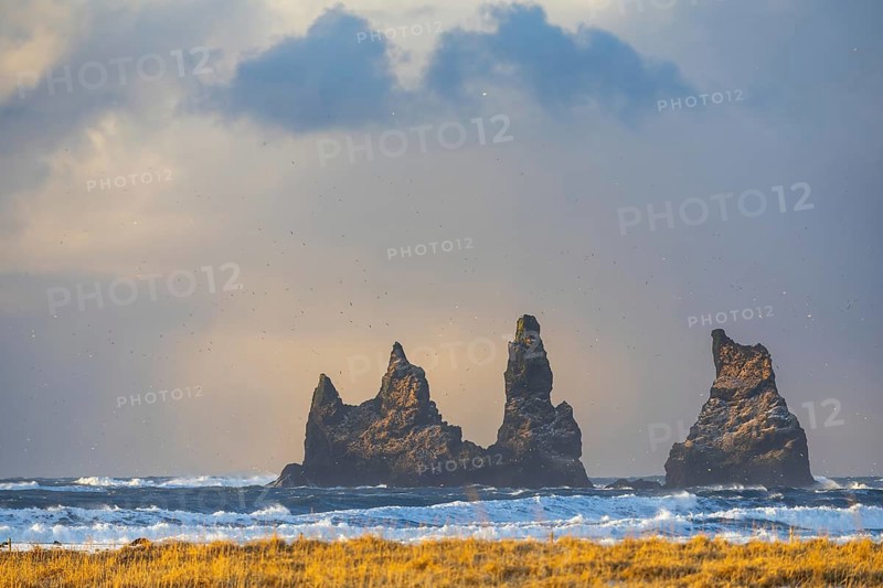 Reynisdrangar needles, rotten grass, waves, sea, clouds, winter, Vik, Iceland, Scandinavia