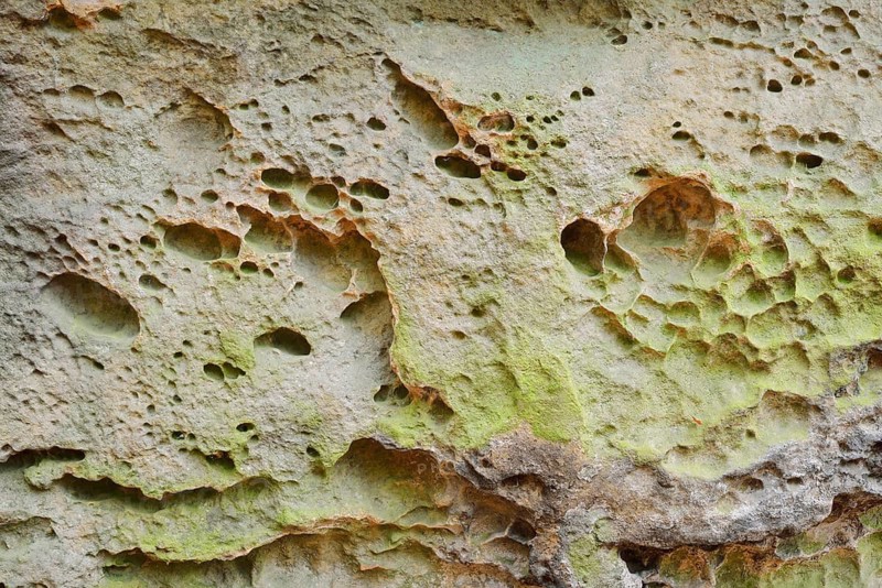 Honeycomb weathering in sandstone, Saxon Switzerland, Elbe Sandstone Mountains, Saxony, Germany