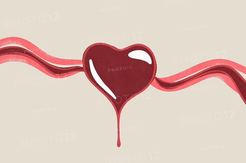 This illustration depicts a stylized heart with flowing arteries, symbolizing cardiovascular health and vitality Perfect for health-related design projects