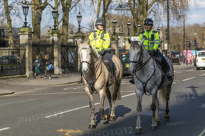Two female mounted police officers on horses, Buckingham Palace Road, London SW1, England, UK