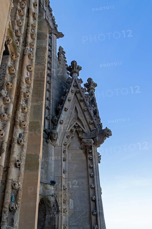 Detail, sculptures on the tower of the University Church of St Mary the Virgin, Oxford, England, Great Britain