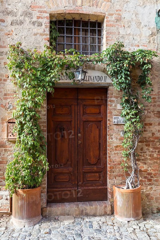 Wooden door as the entrance to a guesthouse, entwined with Wild Vine in the historic centre of Certaldo, Tuscany, Italy
