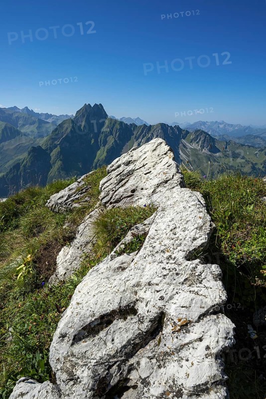 Mountain panorama from Laufbacher-Eckweg to Höfats 2259m, Allgäu Alps, Allgäu, Bavaria, Germany