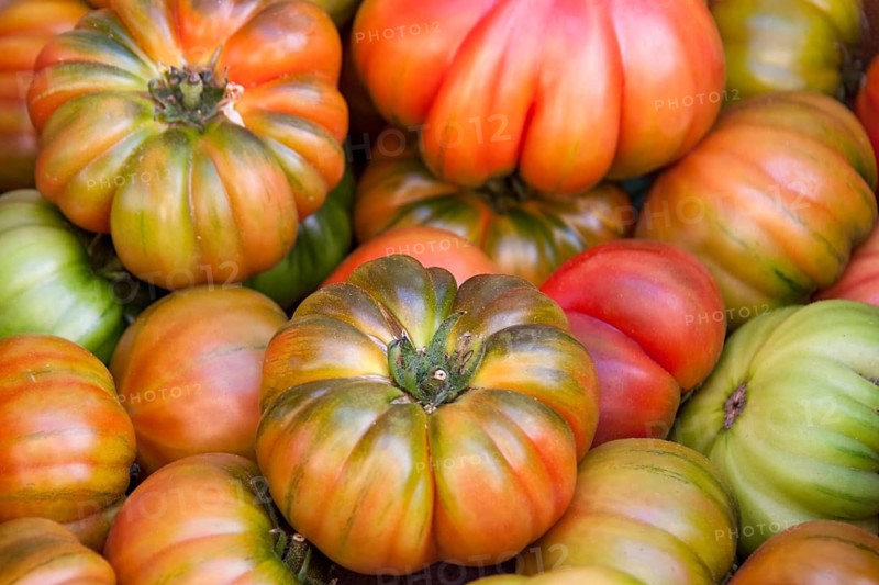 Market sale of tomatoes (Solanum lycopersicum), Tuscany, Italy