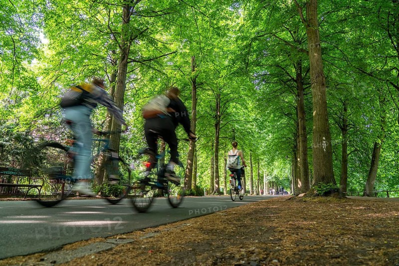 Promenade cycle path, tree-lined, car-free, approximately 4.5 km long ring road around the city centre of Münster, North Rhine-Westphalia, Germany