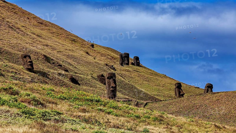 Moai statues on a grass-covered hillside under a blue sky, The Moai statues on Easter Island in the Pacific Ocean