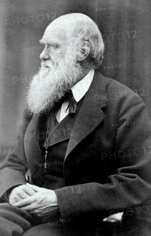 Charles Darwin, photographed by Oscar Gustave Rejlander (1813 - 1875) . Charles Robert Darwin, 1809 - 1882, English naturalist and geologist, digitally enhanced reproduction of a 19th century original, historical
