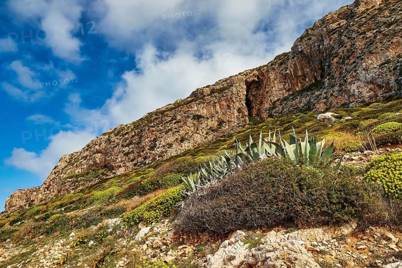 Wild hilly landscape, green slopes, Machia, Levanzo, Egadi Islands, Sicily, Italy