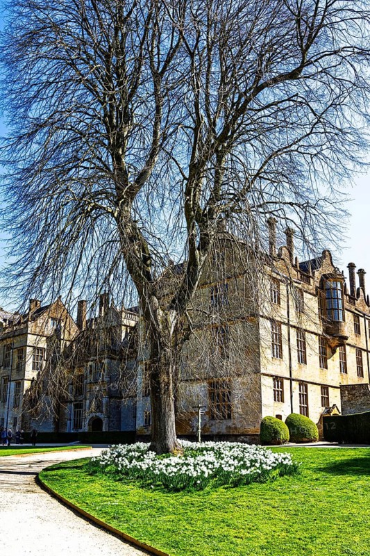 Montacute House and Garden, Montacute, Somerset, England, United Kingdom
