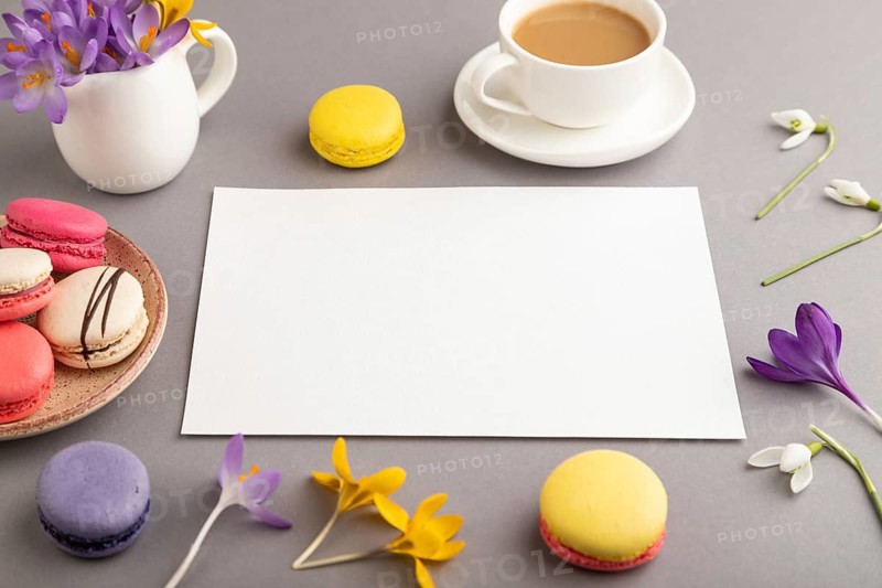 White paper sheet mockup with spring snowdrop crocus flowers and multicolored macaroons on gray pastel background. Blank, business card, side view, copy space, still life. spring concept