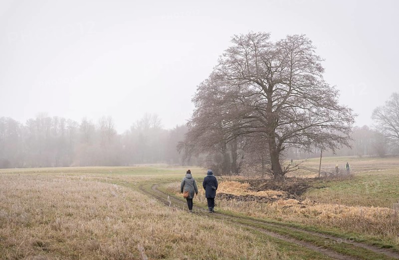 Landscape photography, fog in January, Berlin Lübars, Germany