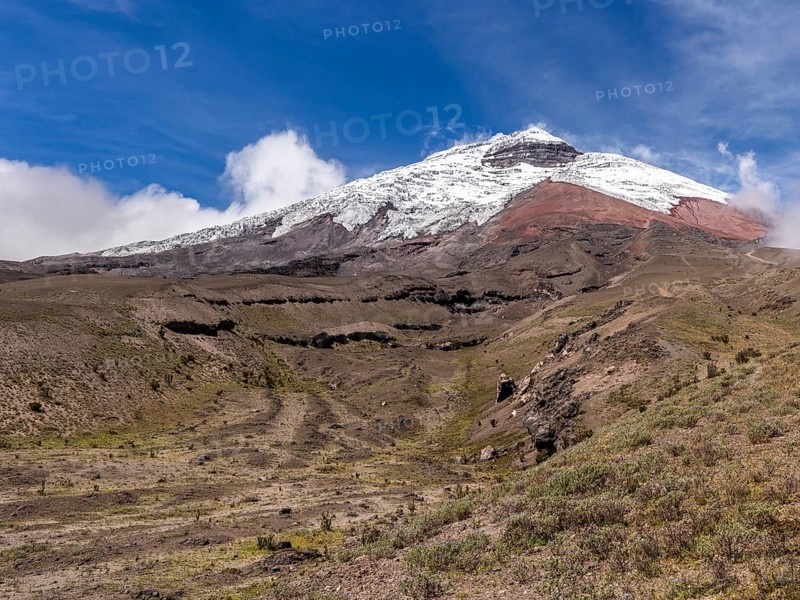 Cotopaxi seen from the high plain, Cotopaxi, Cotopaxi National Park, Latacunga, Ecuador