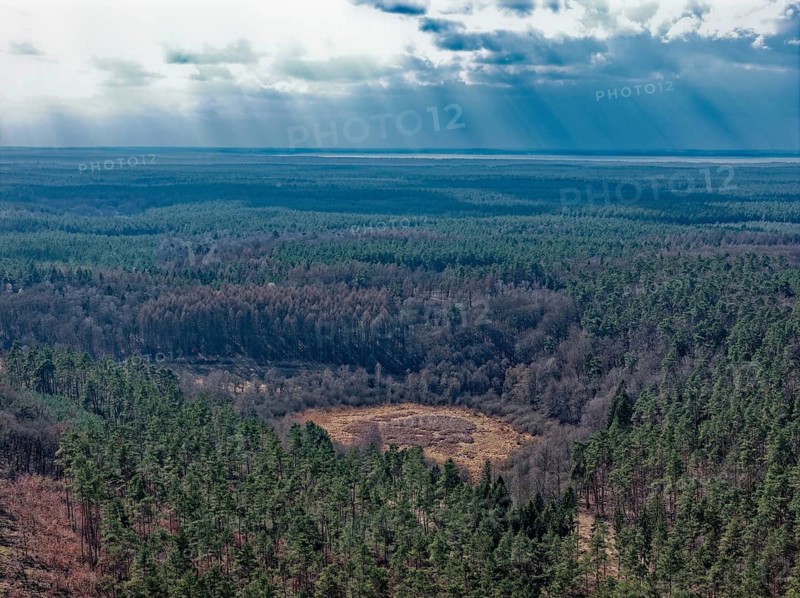 April weather over the forest landscape in Müritz National Park. aerial view. Ankershagen, Mecklenburg-Western Pomerania, Germany