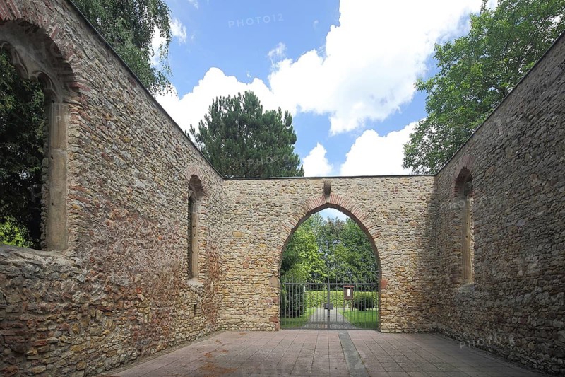 Historic ruins of St. John's Church - Turmberg, Walluf, Rheingau, Taunus, Hesse, Germany